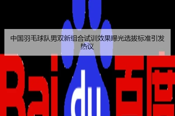 中国羽毛球队男双新组合试训效果曝光选拔标准引发热议